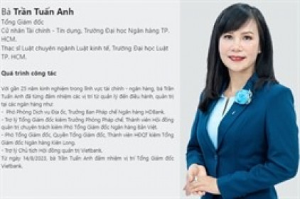 Bà Trần Tuấn Anh làm Tổng Giám đốc Vietbank