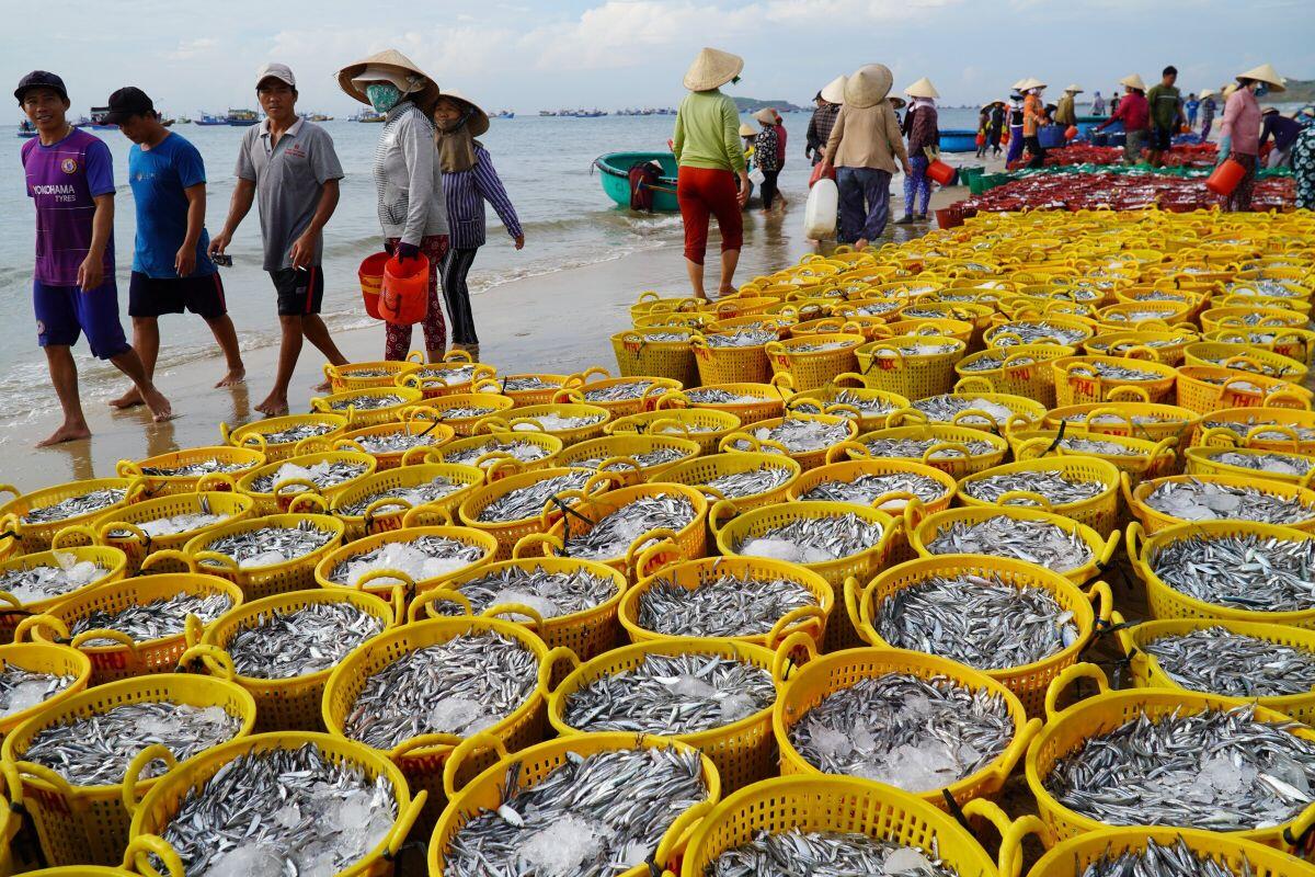 Bộ trưởng Lê Minh Hoan: Xử lý nghiêm tàu cá vi phạm để gỡ thẻ vàng thủy sản