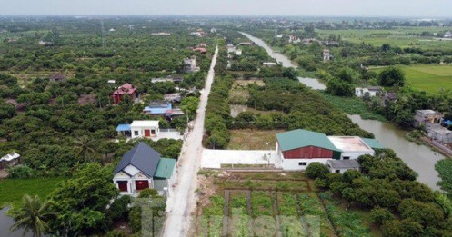 Mở rộng điều tra vụ giao trái thẩm quyền 158 lô đất ở Hưng Yên
