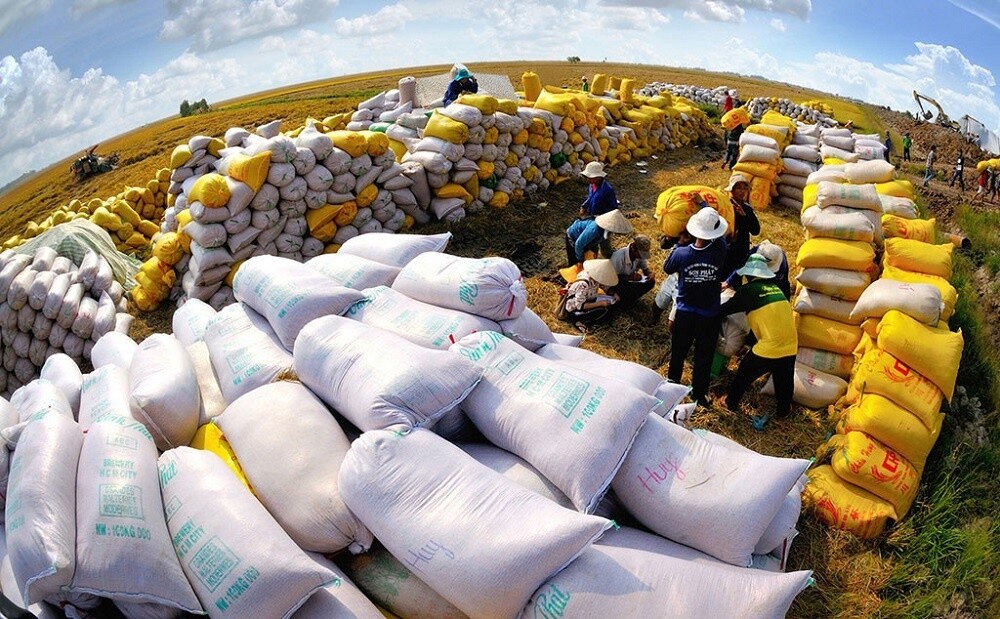 Cả nước có tổng cộng 210 thương nhân kinh doanh xuất khẩu gạo