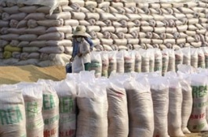 Bộ Công Thương yêu cầu tăng cường kiểm tra để ngăn chặn hành vi đầu cơ mặt hàng gạo