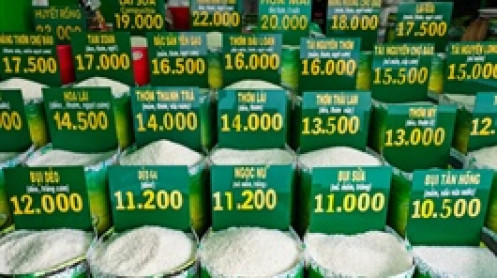 Nguy cơ lạm phát giá thực phẩm khi giá gạo tăng mạnh