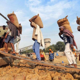 Ấn Độ bác thông tin đánh thuế xuất khẩu gạo đồ