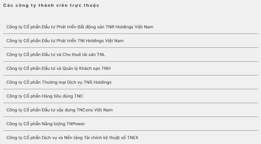 Ôm khối nợ khủng, nhóm công ty liên quan Chủ tịch TNG Holdings Nguyễn Thị Nguyệt Hường làm ăn ra sao?