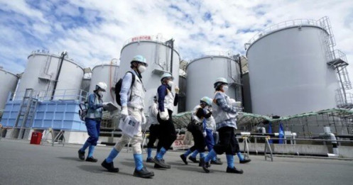 Nhật Bản có thể kiện Trung Quốc lên WTO vì lệnh cấm hải sản