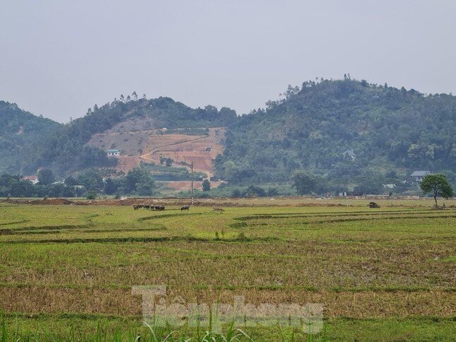 Hà Nội bị 'tuýt còi' quy định về đấu giá đất nông nghiệp