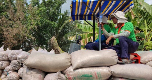 Philippines áp trần giá gạo, nhà nhập khẩu đòi hủy đơn hàng, gạo Việt Nam sẽ ra sao?