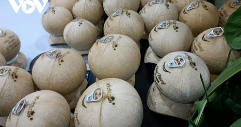 Trái dừa Việt Nam chuẩn bị gia nhập nhóm trái cây xuất khẩu tỷ USD