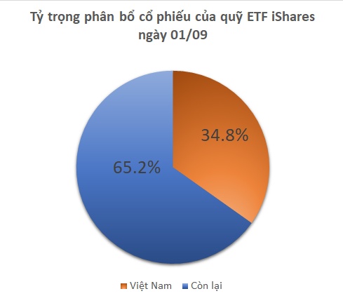 Tuần lễ biến động mạnh của iShares ETF: Mua mới VIX, EIB và CEO