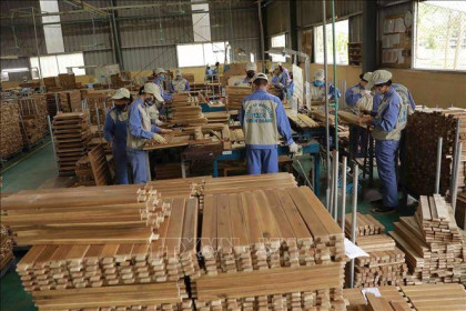 Xuất khẩu gỗ và sản phẩm từ gỗ có thể đạt 14,5 tỷ USD trong năm 2023