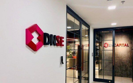Cổ đông lớn của DNSE báo lãi trở lại