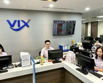 Chứng khoán VIX rời ghế cổ đông lớn tại Thiết bị điện Đông Anh
