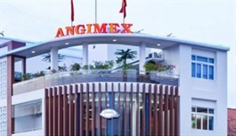 Angimex muốn sử dụng hơn 120 tỷ đồng từ quỹ đầu tư phát triển bù lỗ lũy kế