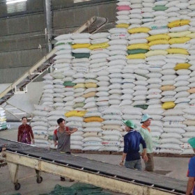 Xuất khẩu gạo đang rất “sáng”, năm nay có thể đạt trên 7,5 triệu tấn
