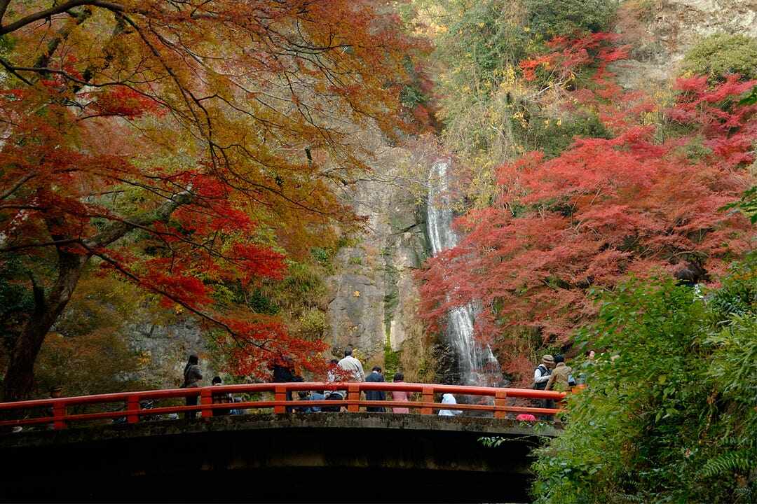 4 điểm ngắm mùa thu lá vàng - đỏ ở Nhật Bản - VnExpress Du lịch