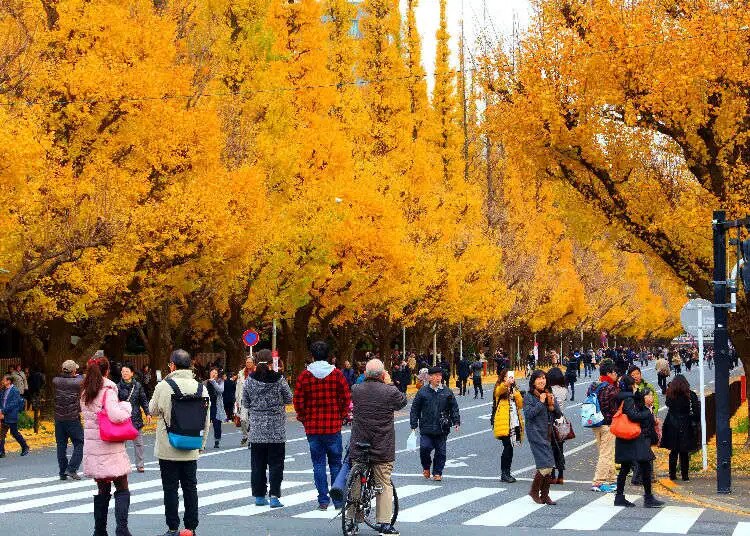4 điểm ngắm mùa thu lá vàng - đỏ ở Nhật Bản - VnExpress Du lịch