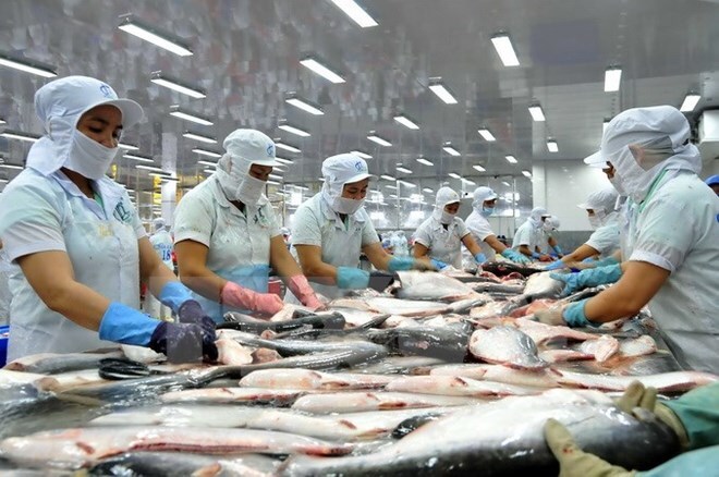 Kinh tế khó khăn, xuất khẩu cá tra sang Đức liên tiếp giảm