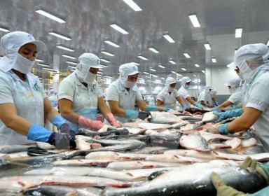 Kinh tế khó khăn, xuất khẩu cá tra sang Đức liên tiếp giảm