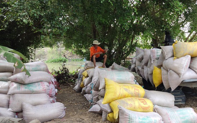 Một thị trường lớn của Việt Nam vừa chào mua thêm 500.000 tấn gạo