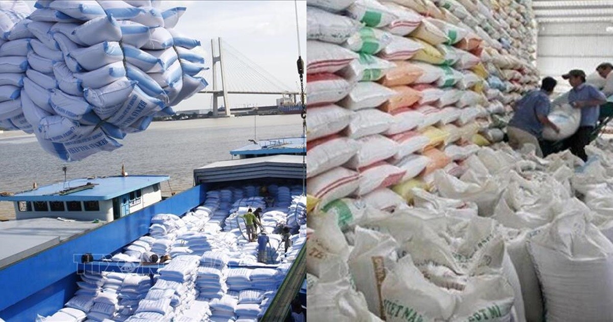 Indonesia muốn mua 600 tấn gạo Việt Nam và Thái Lan