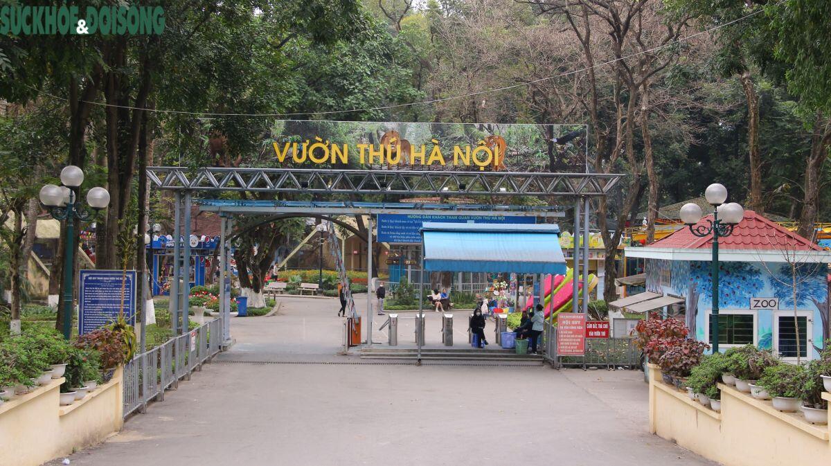 Doanh nghiệp quản lý 3 công viên lâu đời nhất Hà Nội kinh doanh ra sao?
