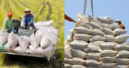 Một nước Đông Nam Á mua gạo Việt Nam nhiều nhất trong tháng 9