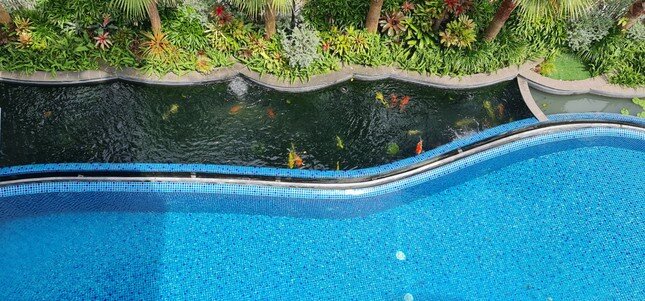 Biệt thự chuồn chuồn kết hợp bể bơi vô cực và hồ cá Koi
