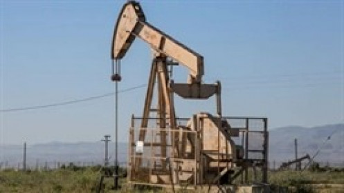 Giá dầu đảo chiều sau số liệu dự trữ của Mỹ
