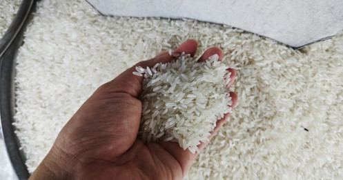 Vì sao giá gạo tăng trở lại?