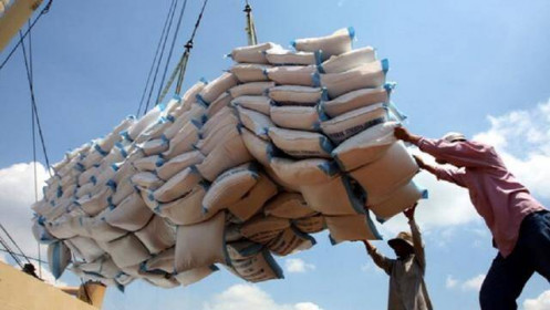 Xuất khẩu gạo sang Philippines, Trung Quốc và Indonesia tăng trưởng ấn tượng