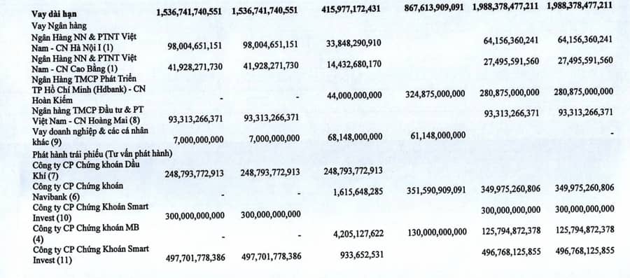 Hải Phát Invest lợi nhuận lao dốc, đang vay vốn của Vinaconex với lãi suất lên tới 16%