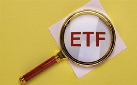 Quỹ ETF trăm triệu USD mạnh tay xả hàng sau nhiều tuần án binh bất động