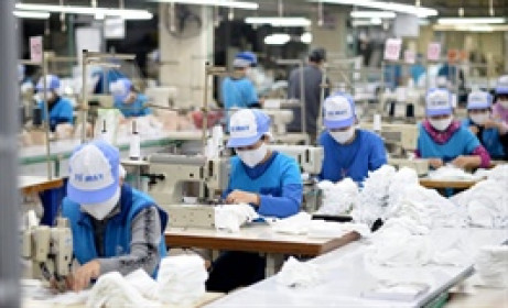 Tập đoàn Dệt May Việt Nam muốn thoái sạch vốn tại một công ty liên kết
