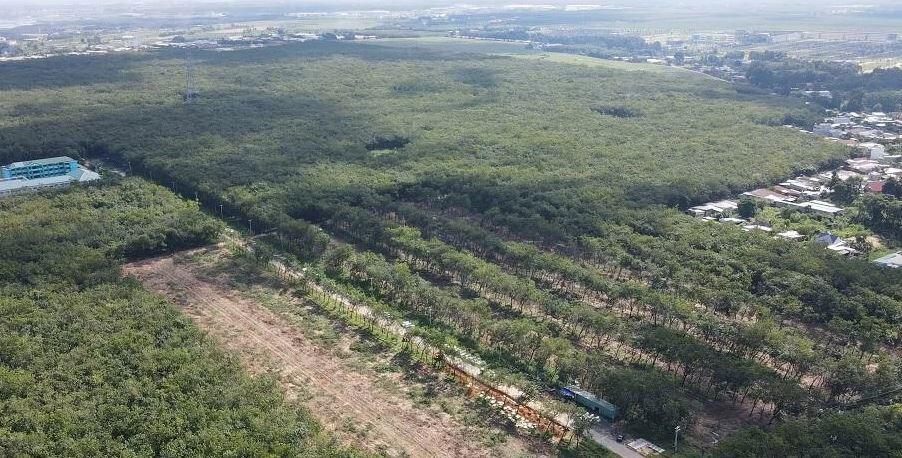 Thu hồi gần 27 ha đất do Tổng Công ty Cao su Đồng Nai quản lý