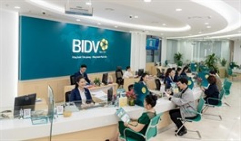 Giảm dự phòng, BIDV tăng 12% lãi trước thuế 9 tháng