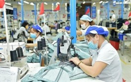 May Việt Tiến giảm 12% lãi ròng quý 3