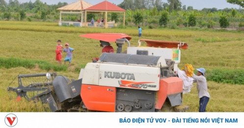 Xuất khẩu gạo của Việt Nam dự báo lập đỉnh