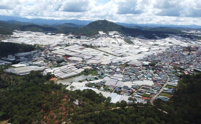 Lâm Đồng đề nghị gói vay ưu đãi 4.800 tỉ cho đề án di dời nhà kính khỏi nội ô Đà Lạt
