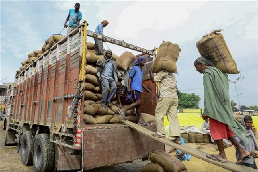Ấn Độ siết xuất khẩu gạo: Tác động mạnh tới nguồn cung toàn cầu