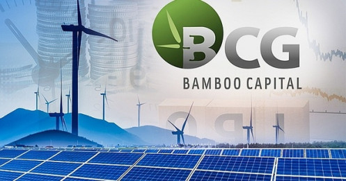 Lãnh đạo Bamboo Capital "chốt lời" thành công 3 triệu cổ phiếu