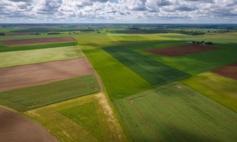 Mỹ: Các quỹ đầu tư coi đất nông nghiệp như một nơi trú ẩn an toàn