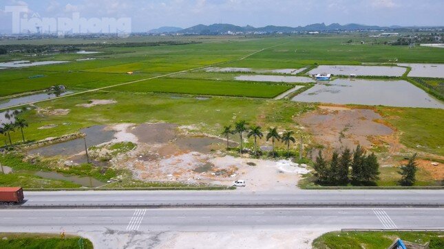 Xem xét chấm dứt hoạt động dự án 2.300 tỷ của FLC tại Thanh Hóa