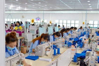 Từ 4,000 lao động nay còn 35 người, doanh nghiệp dệt may có tiếng ở TPHCM nói "càng làm càng lỗ"