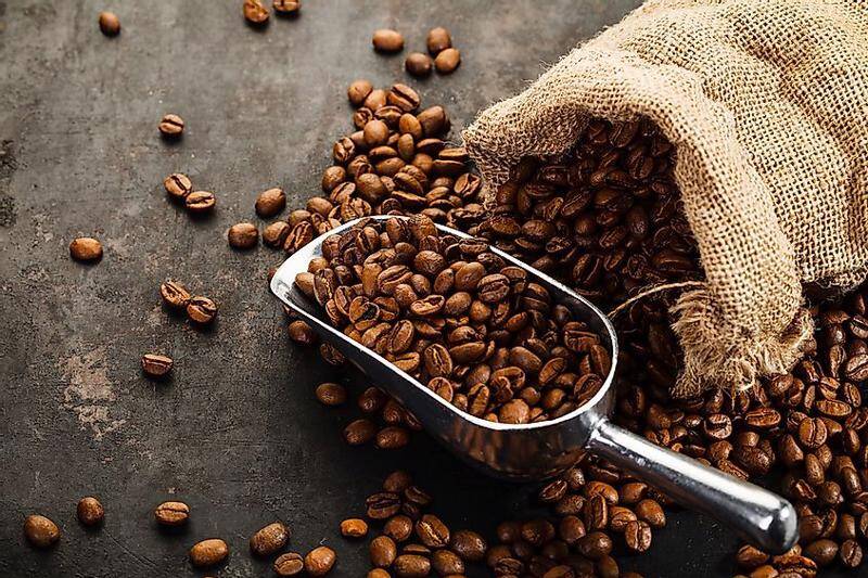 Nắm bắt thị trường, giá xuất khẩu cà phê được dự báo sẽ tăng đến 2024
