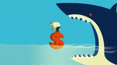 Theo dấu dòng tiền cá mập 11/12: Tự doanh cùng khối ngoại bán ròng gần 550 tỷ đồng