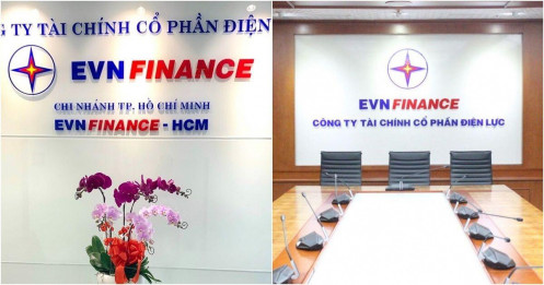 Những ai đã mua hơn 226 triệu cổ phiếu “ế” của EVN Finance?