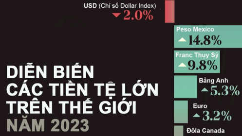 Giá trị các đồng tiền lớn thay đổi thế nào trong năm 2023?