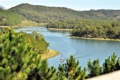 Lâm Đồng tiếp tục từ chối đề nghị tài trợ lập quy hoạch khu du lịch quốc gia hồ Tuyền Lâm