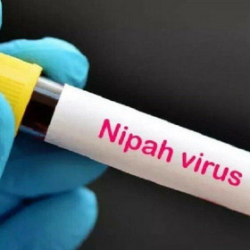 Bangladesh ghi nhận ca tử vong đầu tiên do virus Nipah trong năm 2024