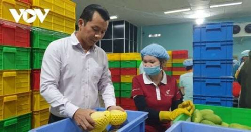 Xuất khẩu rau quả của Việt Nam sẽ lập kỷ lục mới?